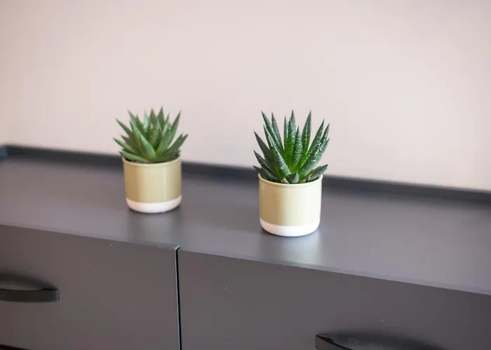 Appartamento Aurora Apart, 4 - Sea View Near The Marmari (Kos)